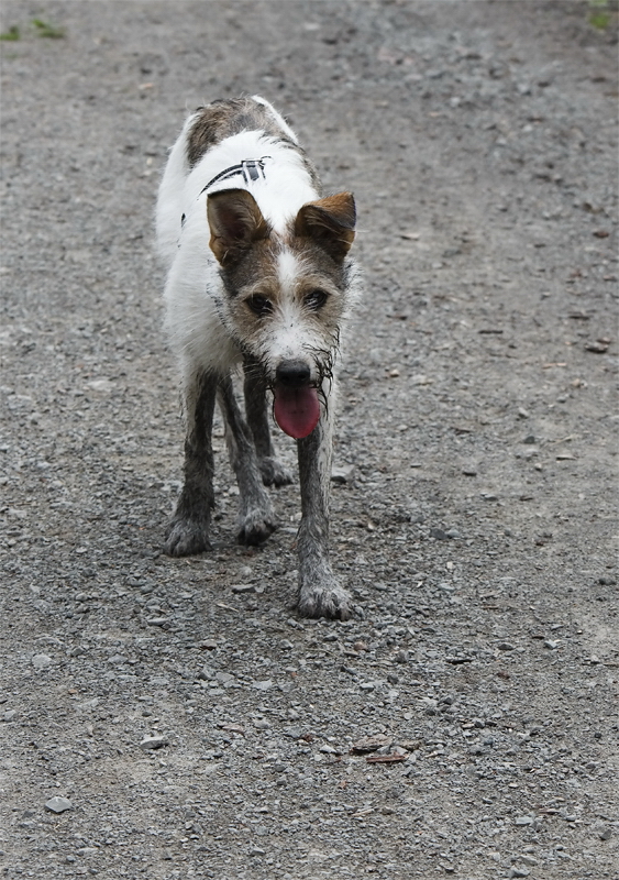 1 -- Emmely Felix SAM_2724 als Smart-Objekt-1.jpg